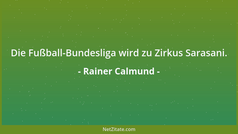 Rainer Calmund - Ich personifiziere mich mit dieser negativen Position....