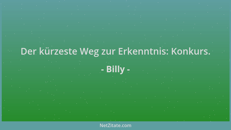 Billy - Der kürzeste Weg zur Erkenntnis: Konkurs....