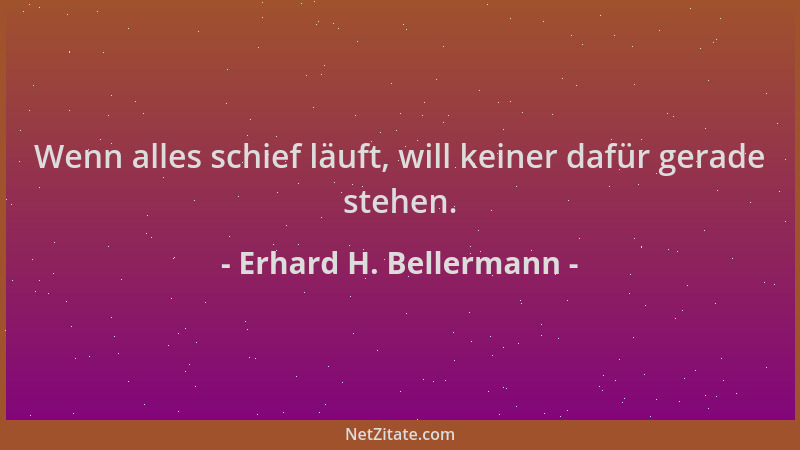 Erhard H. Bellermann - Wenn alles schief läuft, will keiner dafür gerade stehen....