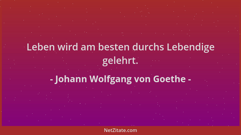 Johann Wolfgang von Goethe - Leben wird am besten durchs Lebendige gelehrt....