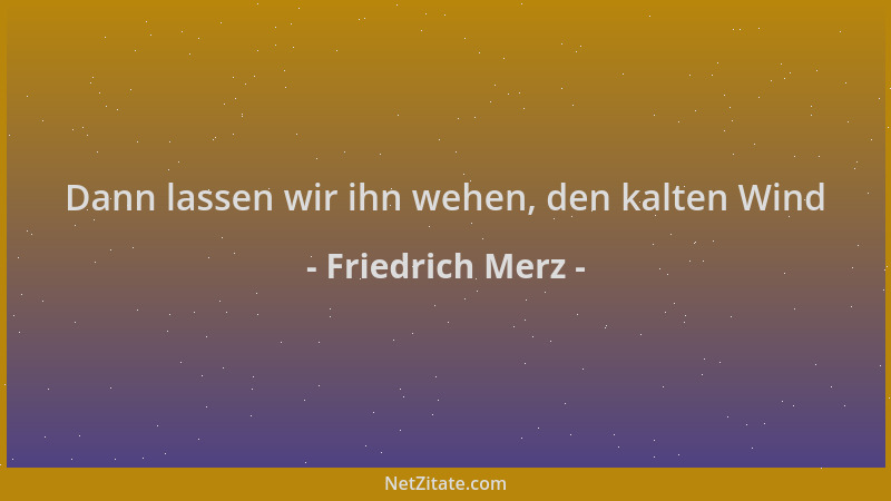 Friedrich Merz - Dann lassen wir ihn wehen, den kalten Wind...