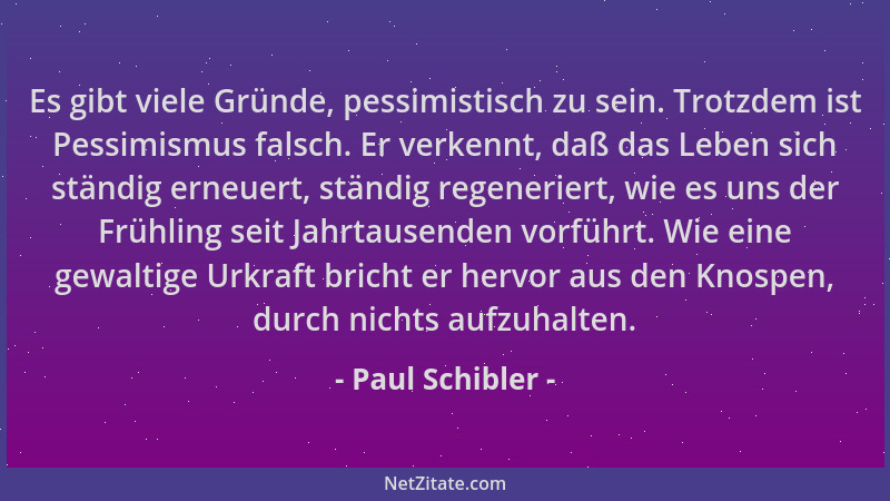 Paul Schibler - Es gibt viele Gründe, pessimistisch zu sein. Trotzdem ist Pessimismus falsch. Er verkennt, daß das Leben si...