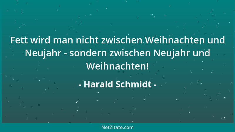 Harald Schmidt - Fett wird man nicht zwischen Weihnachten und Neujahr - sondern zwischen Neujahr und Weihnachten!...