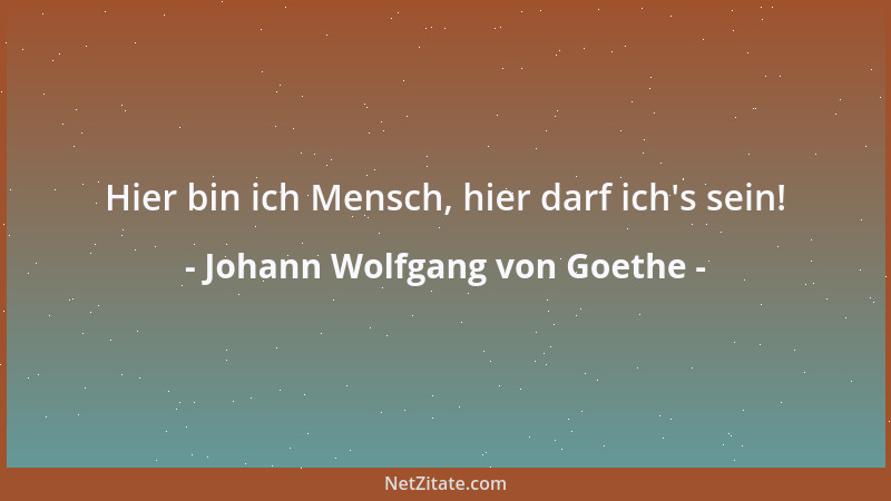 Johann Wolfgang von Goethe - Hier bin ich Mensch, hier darf ich 's sein!...