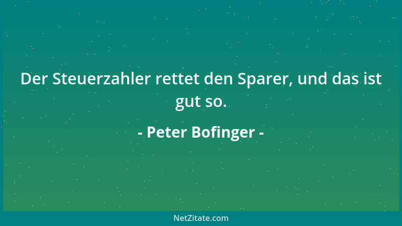 Peter Bofinger - Der Steuerzahler rettet den Sparer, und das ist gut so....