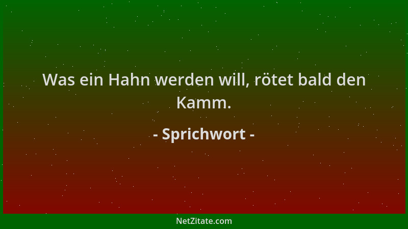 Sprichwort - Was ein Hahn werden will, rötet bald den Kamm....