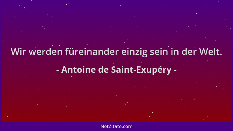 Antoine de Saint-Exupéry - Wir werden füreinander einzig sein in der Welt....