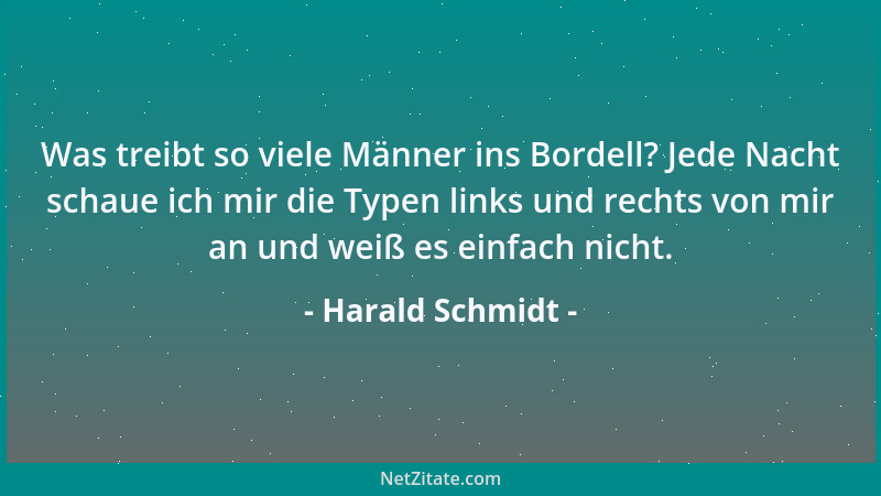 Harald Schmidt - Was treibt so viele Männer ins Bordell? Jede Nacht schaue ich mir die Typen links und rechts von mir an un...