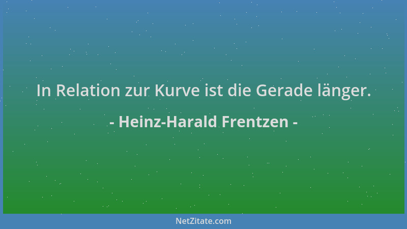 Heinz-Harald Frentzen - In Relation zur Kurve ist die Gerade länger....