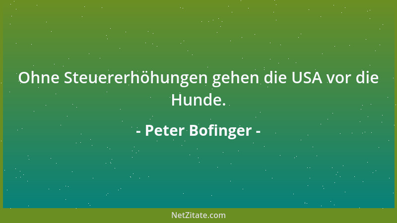 Peter Bofinger - Ohne Steuererhöhungen gehen die USA vor die Hunde....