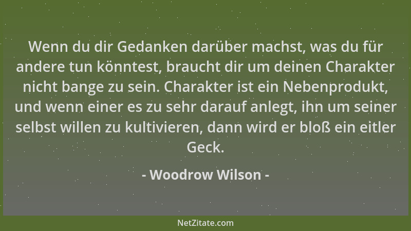 Woodrow Wilson - Wenn du dir Gedanken darüber machst, was du für andere tun könntest, braucht dir um deinen Charakter nicht...