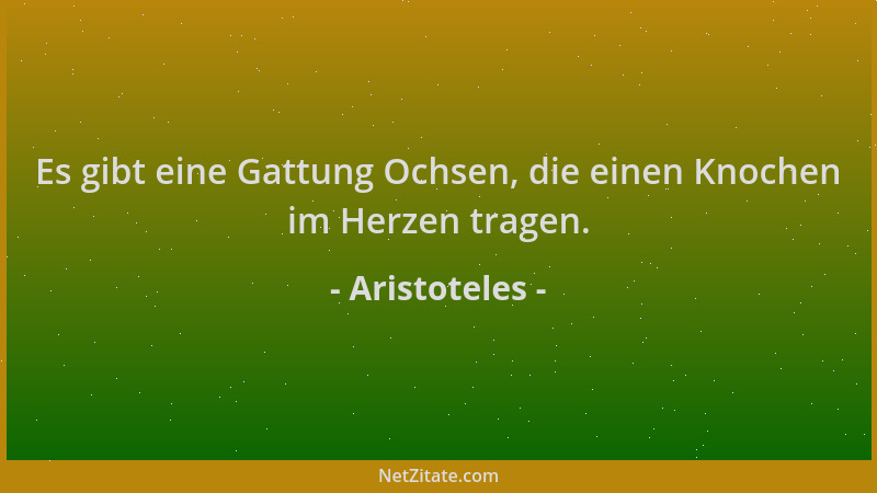 Aristoteles - Es gibt eine Gattung Ochsen, die einen Knochen im Herzen tragen....