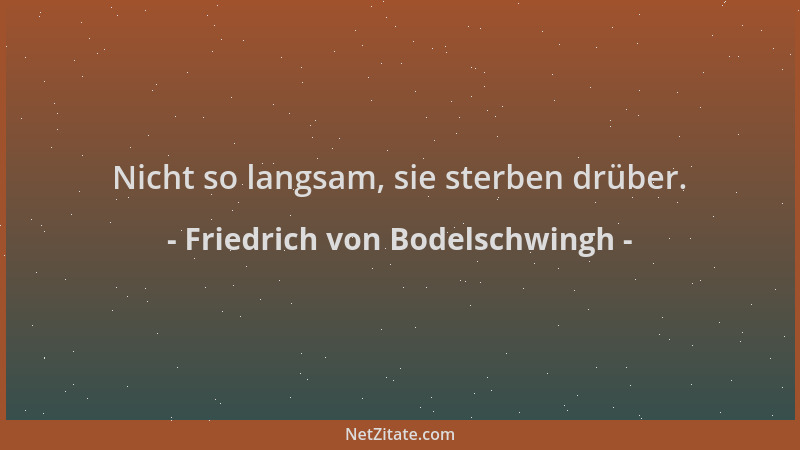 Friedrich von Bodelschwingh - Nicht so langsam, sie sterben drüber....