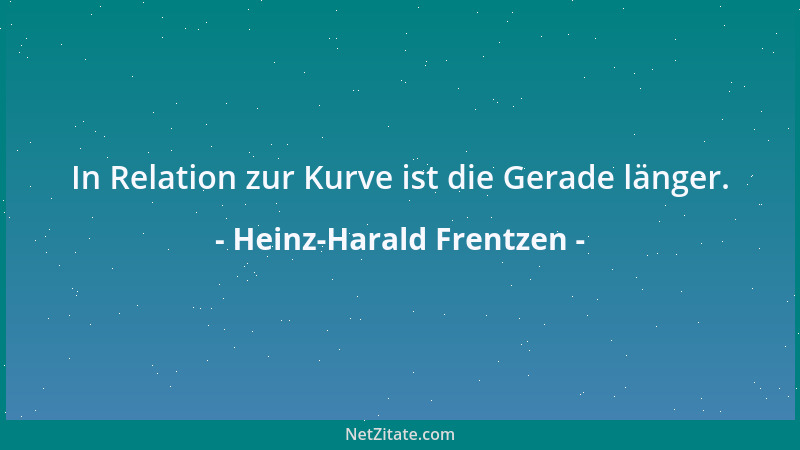 Heinz-Harald Frentzen - In Relation zur Kurve ist die Gerade länger....