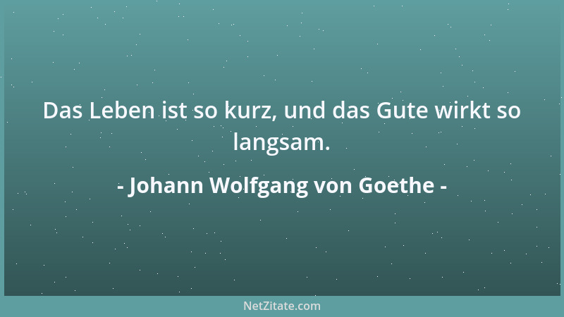 Johann Wolfgang von Goethe - Das Leben ist so kurz, und das Gute wirkt so langsam....