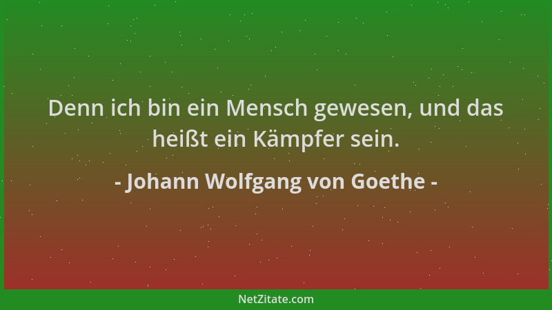 Johann Wolfgang von Goethe - Denn ich bin ein Mensch gewesen, und das heißt ein Kämpfer sein....