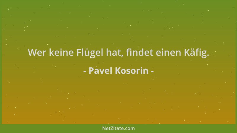 Pavel Kosorin - Wer keine Flügel hat, findet einen Käfig....