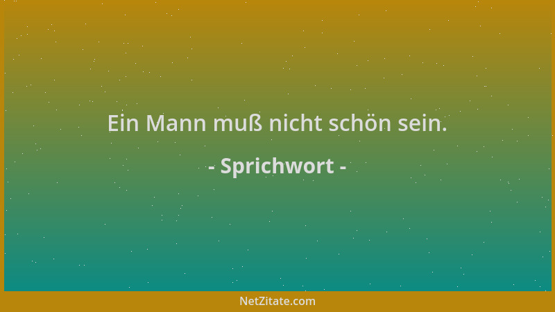 Sprichwort - Ein Mann muß nicht schön sein....
