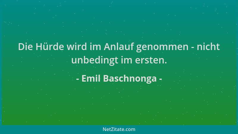Emil Baschnonga - Die Hürde wird im Anlauf genommen - nicht unbedingt im ersten....