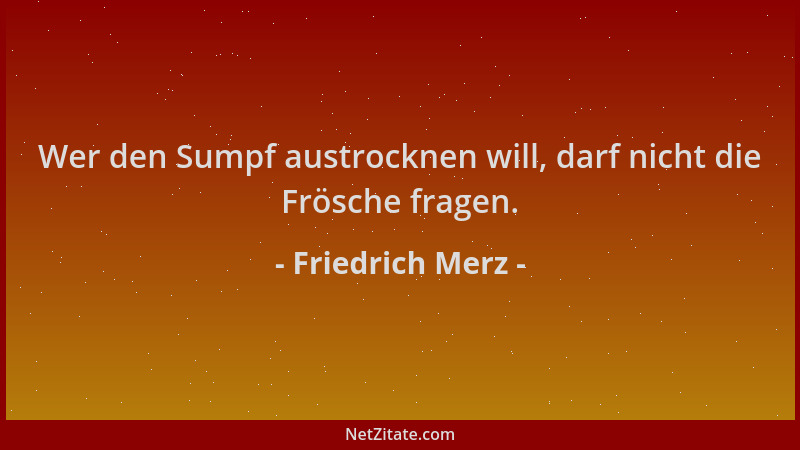 Friedrich Merz - Wer den Sumpf austrocknen will, darf nicht die Frösche fragen....