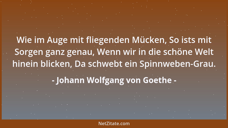 Johann Wolfgang von Goethe - Wie im Auge mit fliegenden Mücken, So ists mit Sorgen ganz genau, Wenn wir in die schöne Welt...