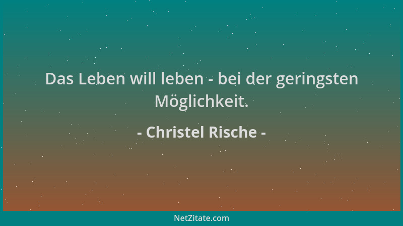 Christel Rische - Das Leben will leben - bei der geringsten Möglichkeit....