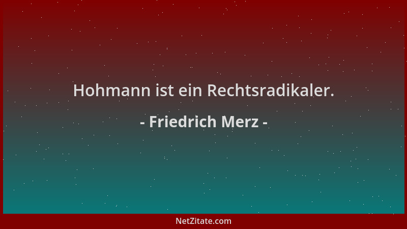 Friedrich Merz - Hohmann ist ein Rechtsradikaler....