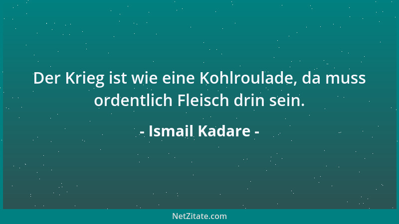 Ismail Kadare - Der Krieg ist wie eine Kohlroulade, da muss ordentlich Fleisch drin sein....