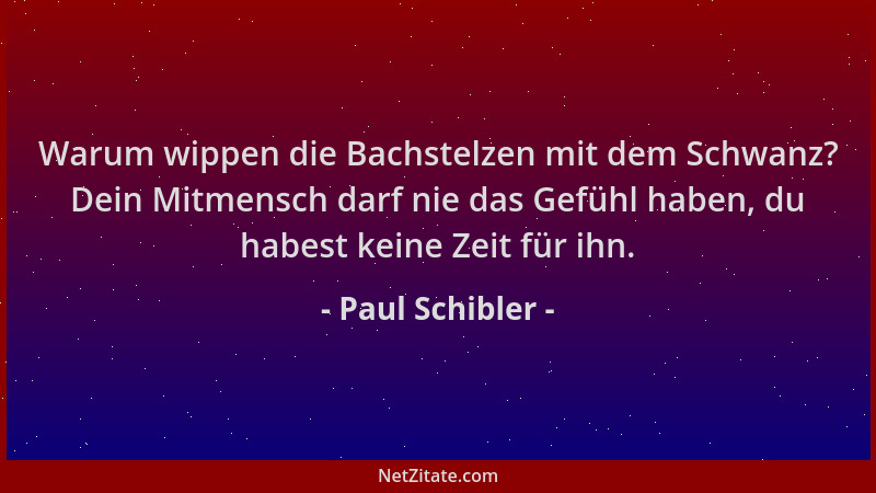 Paul Schibler - Warum wippen die Bachstelzen mit dem Schwanz? Dein Mitmensch darf nie das Gefühl haben, du habest keine Zei...
