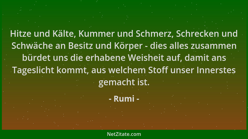 Rumi - Hitze und Kälte, Kummer und Schmerz, Schrecken und Schwäche an Besitz und Körper - dies alles zusammen bürdet uns di...