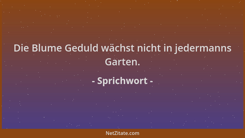 Sprichwort - Die Blume Geduld wächst nicht in jedermanns Garten....
