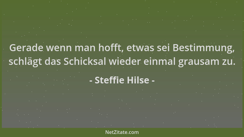 Steffie Hilse - Gerade wenn man hofft, etwas sei Bestimmung, schlägt das Schicksal wieder einmal grausam zu....