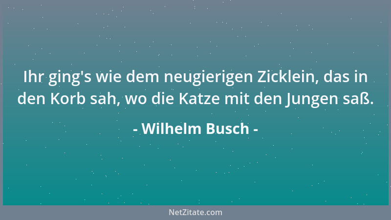 Wilhelm Busch - Zu große Hast macht ungeschickt....
