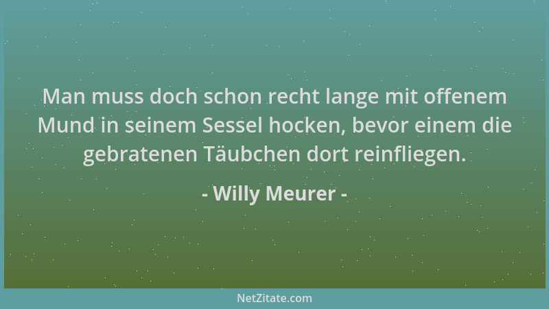 Willy Meurer - Man muss doch schon recht lange mit offenem Mund in seinem Sessel hocken, bevor einem die gebratenen Täubche...