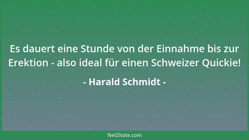 Harald Schmidt - Es dauert eine Stunde von der Einnahme bis zur Erektion - also ideal für einen Schweizer Quickie!...