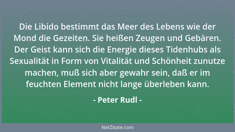 Peter Rudl - Geist kann nur Geist trösten....