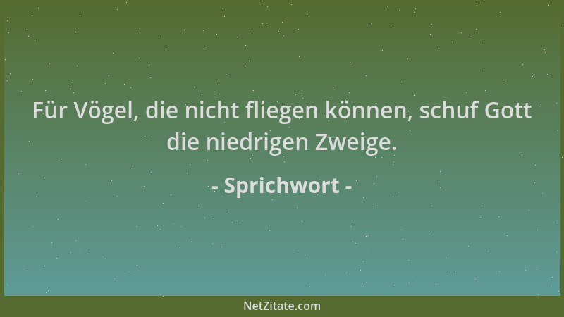 Sprichwort - Für Vögel, die nicht fliegen können, schuf Gott die niedrigen Zweige....