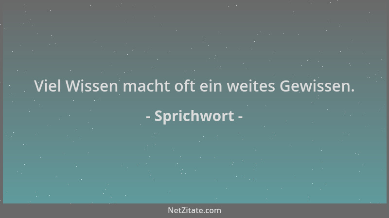 Sprichwort - Viel Wissen macht oft ein weites Gewissen....