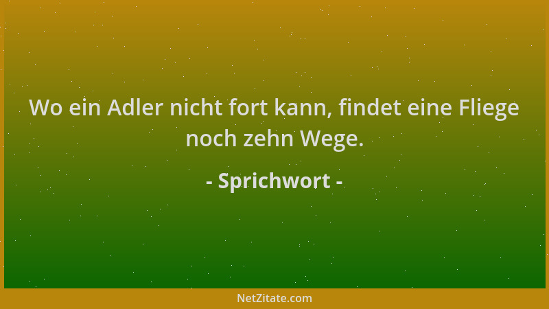 Sprichwort - Wo ein Adler nicht fort kann, findet eine Fliege noch zehn Wege....
