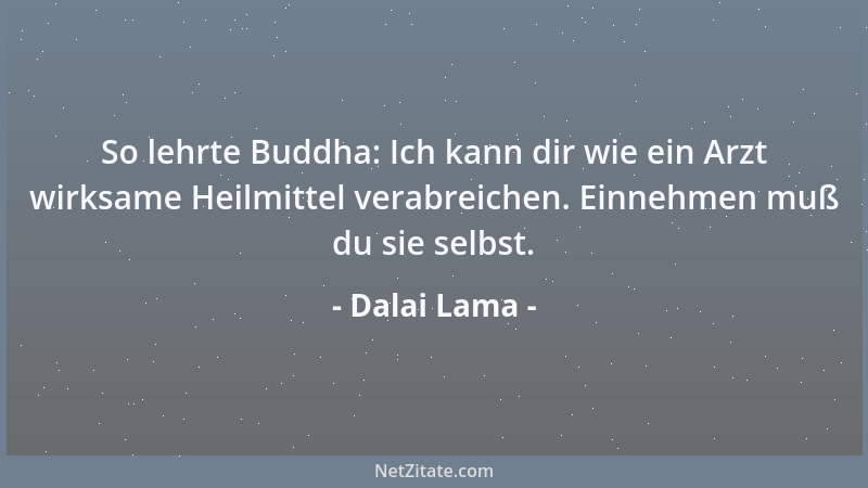Dalai Lama - So lehrte Buddha: Ich kann dir wie ein Arzt wirksame Heilmittel verabreichen. Einnehmen muß du sie selbst....