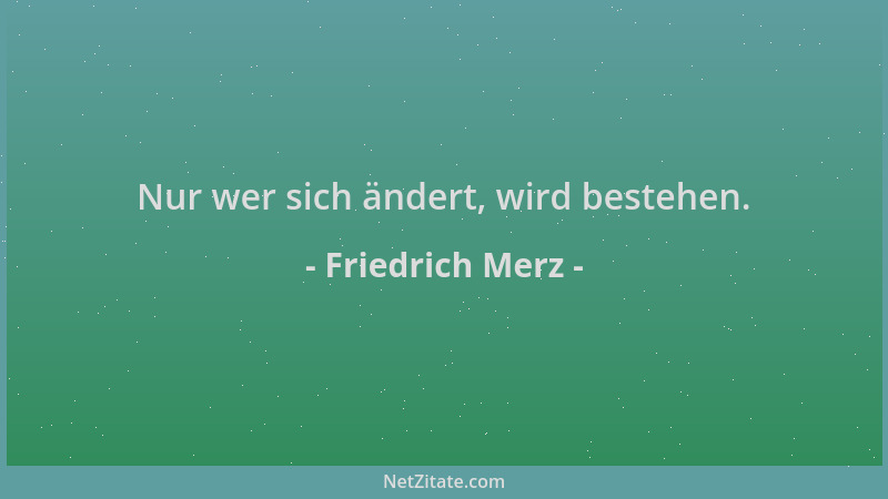 Friedrich Merz - Nur wer sich ändert, wird bestehen....