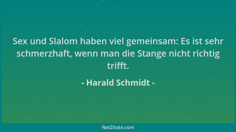 Harald Schmidt - Sex und Slalom haben viel gemeinsam: Es ist sehr schmerzhaft, wenn man die Stange nicht richtig trifft....