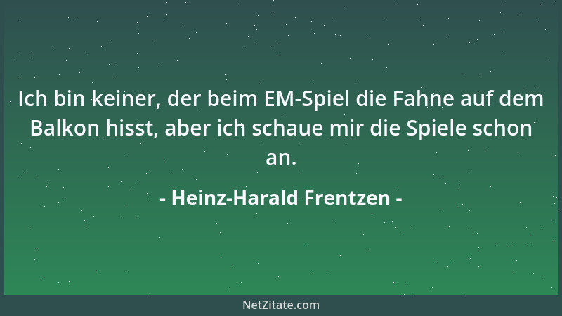 Heinz-Harald Frentzen - Ich bin keiner, der beim EM-Spiel die Fahne auf dem Balkon hisst, aber ich schaue mir die Spiele sc...