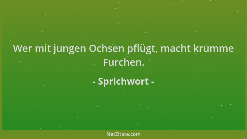 Sprichwort - Wer mit jungen Ochsen pflügt, macht krumme Furchen....
