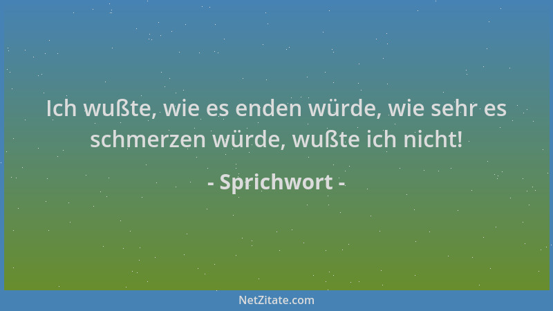 Sprichwort - Ich wußte, wie es enden würde, wie sehr es schmerzen würde, wußte ich nicht!...