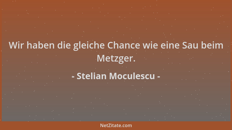 Stelian Moculescu - Wir haben die gleiche Chance wie eine Sau beim Metzger....