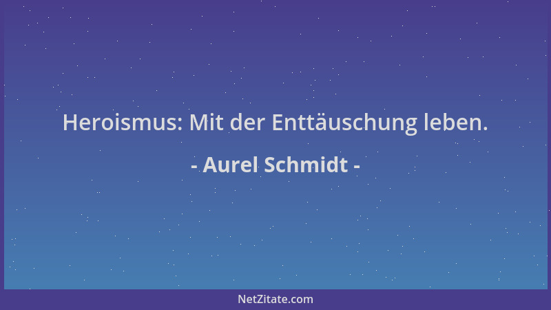 Aurel Schmidt - Heroismus: Mit der Enttäuschung leben....