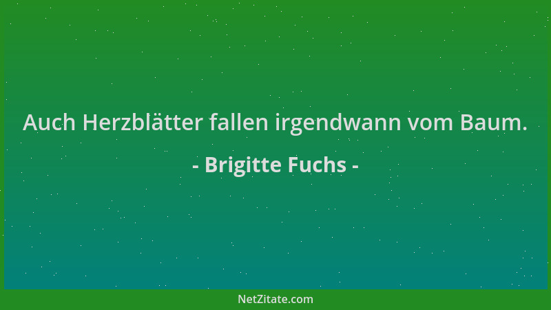 Brigitte Fuchs - Auch Herzblätter fallen irgendwann vom Baum....