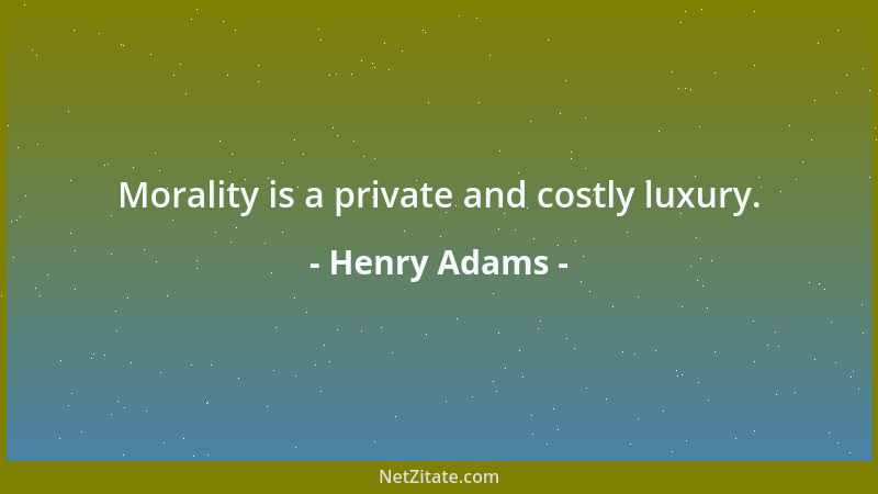 Henry Adams - Morality is a private and costly luxury....
