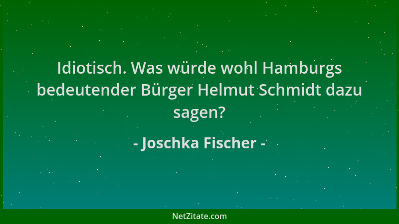 Joschka Fischer - Idiotisch. Was würde wohl Hamburgs bedeutender Bürger Helmut Schmidt dazu sagen?...